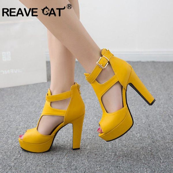 reave cat women pumps high heels platform shoes peep toe buckle spring spike heels ladies party shoes yellow size 34-43 a1102, Black
reave cat women pumps high heels platform shoes peep toe buckle spring spike heels ladies party shoes yellow size 34-43 a1102, Black