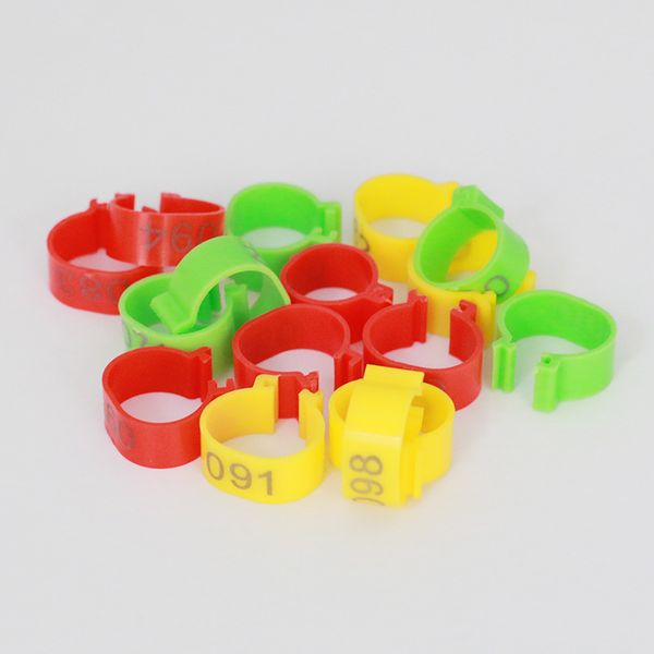 uvet new style chicken feet ring open style buckle chicken duck goose use foot ring with word birds foot ring
uvet new style chicken feet ring open style buckle chicken duck goose use foot ring with word birds foot ring
