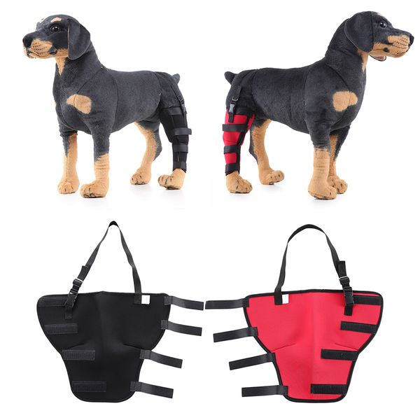 2 pack supportive dog rear leg hock joint wrap protects dog wound dog rear leg hock - black & red size l
2 pack supportive dog rear leg hock joint wrap protects dog wound dog rear leg hock - black & red size l