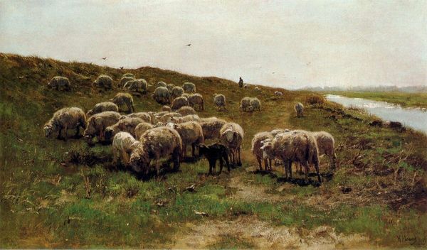 anton mauve sheep on a dyke home wall art decor ручная роспись hd печать маслом на холсте wall art холст картины 190827
anton mauve sheep on a dyke home wall art decor ручная роспись hd печать маслом на холсте wall art холст картины 190827
