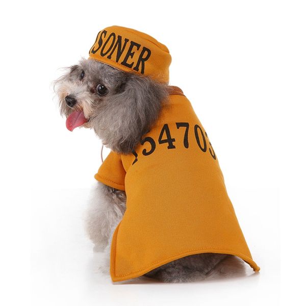 11pet jersey with hat dog cheering clothing for ball game matches costume set
11pet jersey with hat dog cheering clothing for ball game matches costume set