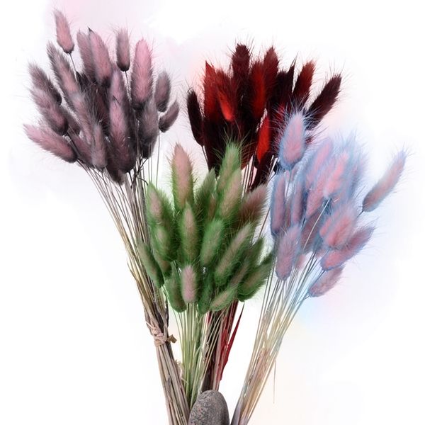 30pcs / lot grass home decoration flower arrangement natural dried flower garden real tail grass
30pcs / lot grass home decoration flower arrangement natural dried flower garden real tail grass