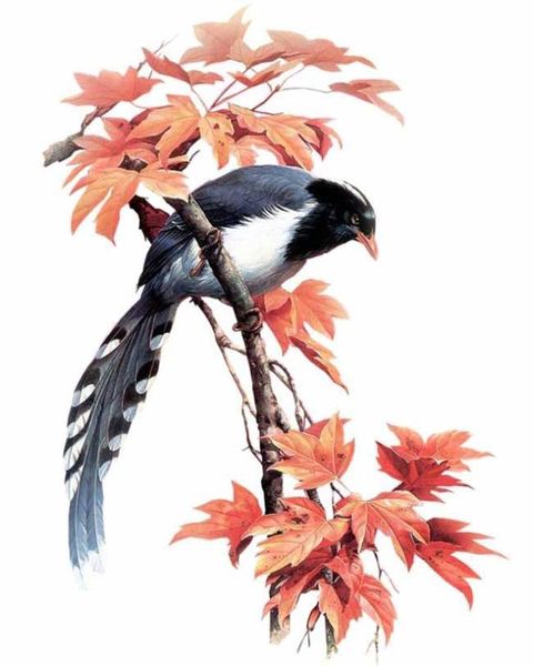 fanyue diy embroidery cartoon bird pattern mosaic cross stitch 5d crystal rhinestone diamond art painting full drill kits
fanyue diy embroidery cartoon bird pattern mosaic cross stitch 5d crystal rhinestone diamond art painting full drill kits