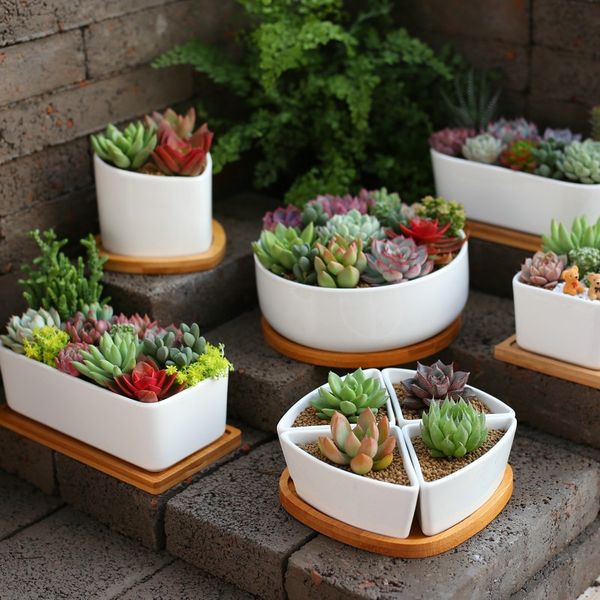 artificial succulents plants with flower pot plastic fake plants desklandscape bonsai home office garden decoration office
artificial succulents plants with flower pot plastic fake plants desklandscape bonsai home office garden decoration office