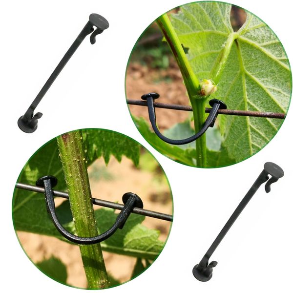 100pcs vines fasteners vegetable strapping clips garden plants buckle grape tool plant vegetable grafting clips agricultural other garden
100pcs vines fasteners vegetable strapping clips garden plants buckle grape tool plant vegetable grafting clips agricultural other garden
