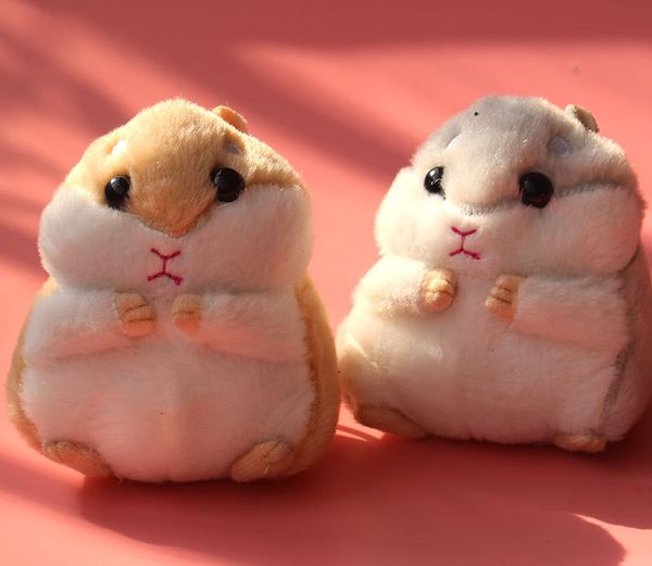 2018 cute little hamster keychain car bag pendant with the plush doll dolls meng goods super q
2018 cute little hamster keychain car bag pendant with the plush doll dolls meng goods super q