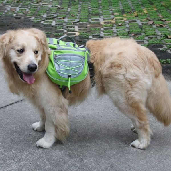 pet jewelry waterproof adjustable polyester pet backpack dog saddle bag suitable for large dog hiking dog houses & kennels accessories
pet jewelry waterproof adjustable polyester pet backpack dog saddle bag suitable for large dog hiking dog houses & kennels accessories