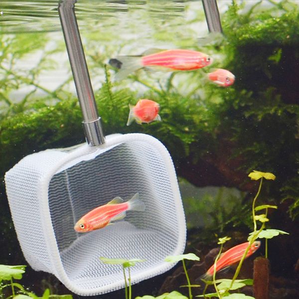 fish tank aquarium fish net mini adjustable telescoping fishes shrimps landing net scoop square/round fish net random color
fish tank aquarium fish net mini adjustable telescoping fishes shrimps landing net scoop square/round fish net random color