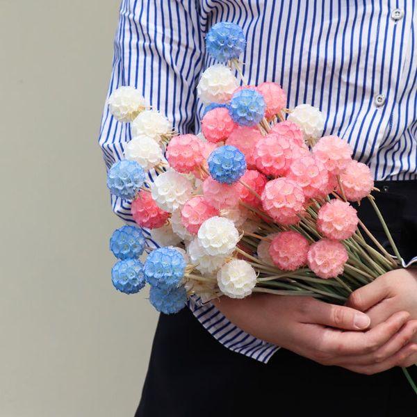 10pcs/30g pristimera cambodiana matsumushi fruit/windmill fruit preserved fresh flower diy material for home weeding decoration
10pcs/30g pristimera cambodiana matsumushi fruit/windmill fruit preserved fresh flower diy material for home weeding decoration