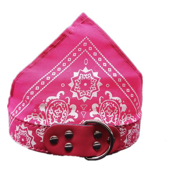 wiron регулируемый ремень собак pet cat шейный bandana ошейник для собак puppy pet products ошейники шарфы pet принадлежности newclipper itn, Blue;black
wiron регулируемый ремень собак pet cat шейный bandana ошейник для собак puppy pet products ошейники шарфы pet принадлежности newclipper itn, Blue;black