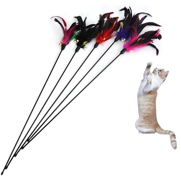 cat toys kitten pet cat teaser turkey feather interactive scratching stick toy cat supplies fun toys products for cats
cat toys kitten pet cat teaser turkey feather interactive scratching stick toy cat supplies fun toys products for cats