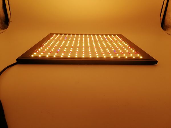 2019 quantum board plant lamp, absolute price advantage, planting flowers and vegetables users, the first choice of experience
2019 quantum board plant lamp, absolute price advantage, planting flowers and vegetables users, the first choice of experience