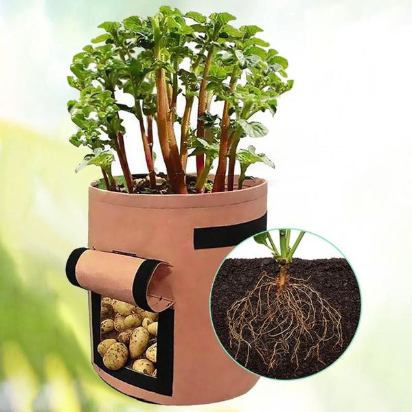 potato tomato and other vegetables garden planting grow bags planter pot with flap handles breathable nonwoven fabric cloth
potato tomato and other vegetables garden planting grow bags planter pot with flap handles breathable nonwoven fabric cloth
