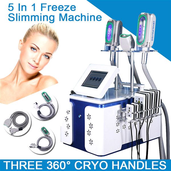 5 in 1 multifunction cryolipolysis machine for fat reduction with 3 cryo handles 360° mini fat e handle for double chin treatment
5 in 1 multifunction cryolipolysis machine for fat reduction with 3 cryo handles 360° mini fat e handle for double chin treatment
