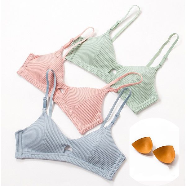 2019 cotton push up bra and panties set fashion bra set women fashion stripes underwear, Red;black
2019 cotton push up bra and panties set fashion bra set women fashion stripes underwear, Red;black