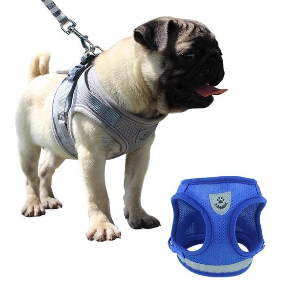 breathable small dog pet harness and leash set for chihuahua pug small medium nylon mesh puppy cat harnesses vest reflective
breathable small dog pet harness and leash set for chihuahua pug small medium nylon mesh puppy cat harnesses vest reflective