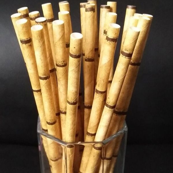 100 pcs drinking straws degradable bamboo eco-friendly paper sucker straw pipettee for home banquet party
100 pcs drinking straws degradable bamboo eco-friendly paper sucker straw pipettee for home banquet party