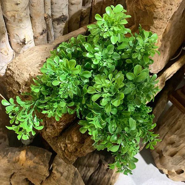 decorative flowers & wreaths artificial boxwood leaf simulation plant family balcony garden landscape decoration accessories plastic wedding
decorative flowers & wreaths artificial boxwood leaf simulation plant family balcony garden landscape decoration accessories plastic wedding