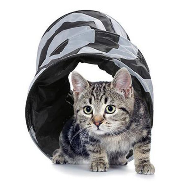 pet кошек котенок play tube складная crinkle tunnel sound бумага интерактивная игрушка 2020
pet кошек котенок play tube складная crinkle tunnel sound бумага интерактивная игрушка 2020