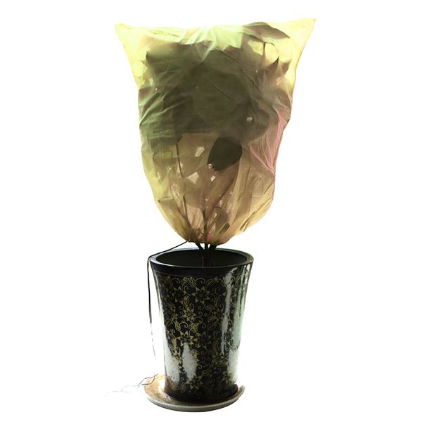 warm worth frost blanket frost protection bags for shrubs dwarf trees flowers from bad weather or pests plant caver bag
warm worth frost blanket frost protection bags for shrubs dwarf trees flowers from bad weather or pests plant caver bag