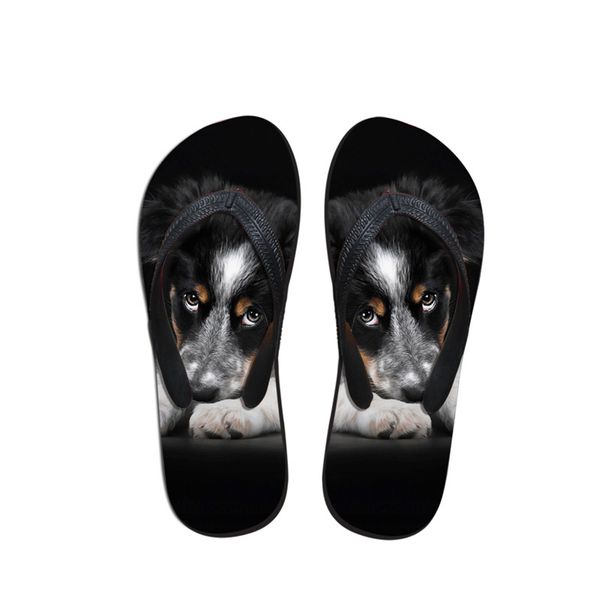 new design lady flip flops bernese mountain dog pattern printed bedroom indoor home slippers summer beach slippers sandals flats, Black
new design lady flip flops bernese mountain dog pattern printed bedroom indoor home slippers summer beach slippers sandals flats, Black