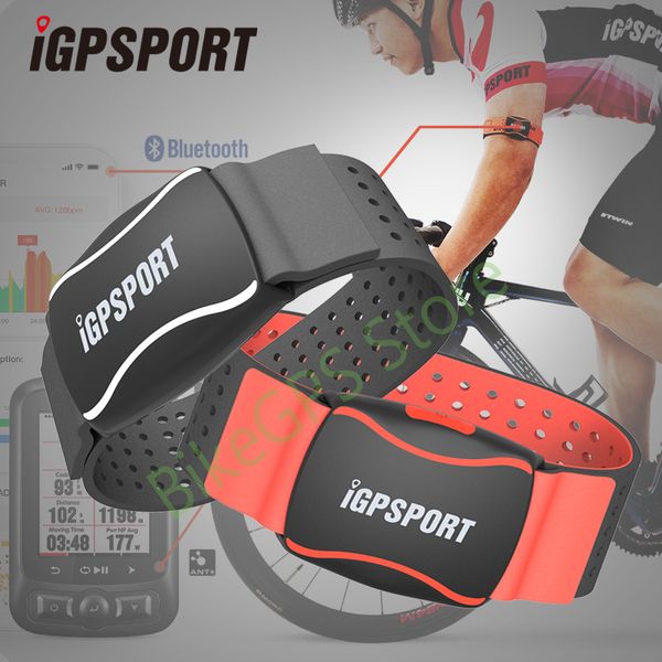 igpsport hr60 heart rate monitor arm pelectric heart rate monitor led light warning support bicycle computer & mobile app
igpsport hr60 heart rate monitor arm pelectric heart rate monitor led light warning support bicycle computer & mobile app