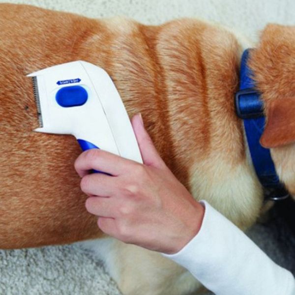 new pet flea cleaner comb electric pet dog and cat mites flea cleaning brush pet convenient white brush comb dog supplies dog grooming
new pet flea cleaner comb electric pet dog and cat mites flea cleaning brush pet convenient white brush comb dog supplies dog grooming