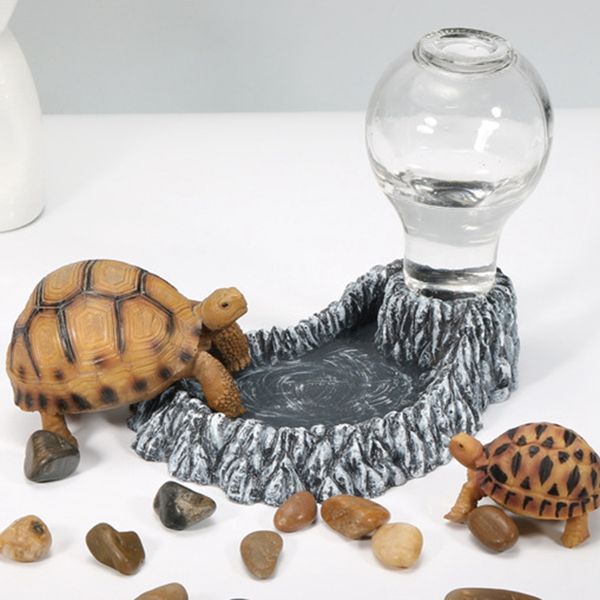 water feeding device dispenser resin glass bottle terrarium reptile water dish feeder feeding food pet supplies reptile pets
water feeding device dispenser resin glass bottle terrarium reptile water dish feeder feeding food pet supplies reptile pets