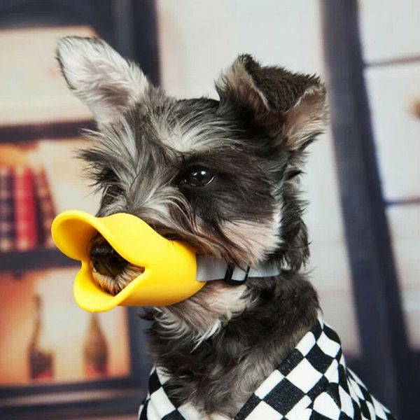 new duck silicone dog muzzle cute duck mouth design bark bite sdog muzzle anti-bite masks for dogs cats pet mask products
new duck silicone dog muzzle cute duck mouth design bark bite sdog muzzle anti-bite masks for dogs cats pet mask products