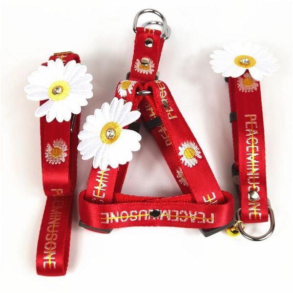 конструктор ошейник яркие цвета daisy кожа pet воротник поводок harness комплект прочный тяговый канат удлиненный ошейник pet товары для соб
конструктор ошейник яркие цвета daisy кожа pet воротник поводок harness комплект прочный тяговый канат удлиненный ошейник pet товары для соб
