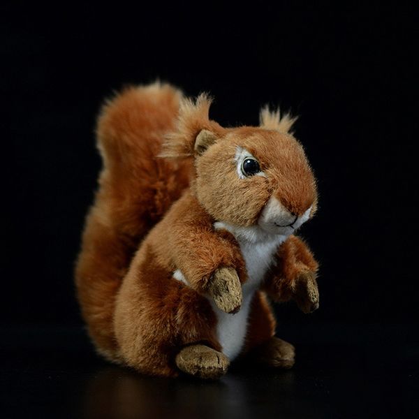 simulation eurasian soft red squirrel cute small sciuridae doll lifelike animal real life stuffed plush toy kids kawaii gift
simulation eurasian soft red squirrel cute small sciuridae doll lifelike animal real life stuffed plush toy kids kawaii gift