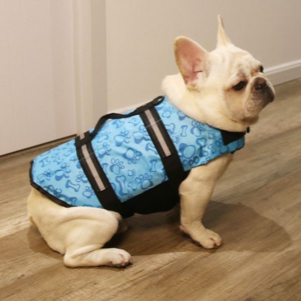 шнауцер безопасности pet одежда для собак лето жизнь куртка собаки спасательный жилет pet безопасности собака домашние животные купальник ку
шнауцер безопасности pet одежда для собак лето жизнь куртка собаки спасательный жилет pet безопасности собака домашние животные купальник ку