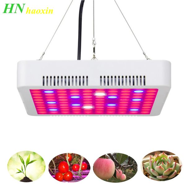 haoxin 300w full spectrum led растений растут свет лампы для растений крытый питомник цветок фруктовая вег гидропоники системы grow палатка
haoxin 300w full spectrum led растений растут свет лампы для растений крытый питомник цветок фруктовая вег гидропоники системы grow палатка