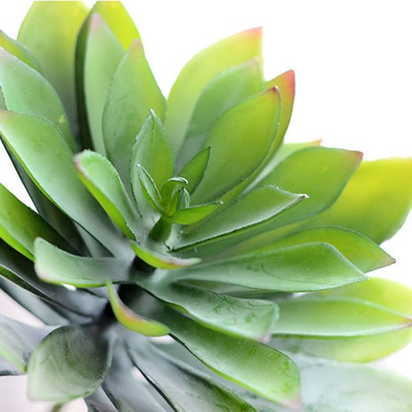 25cm artificial succulent plastic plant simulation for wedding decoration diy gift scrapbooking craft fake flower
25cm artificial succulent plastic plant simulation for wedding decoration diy gift scrapbooking craft fake flower