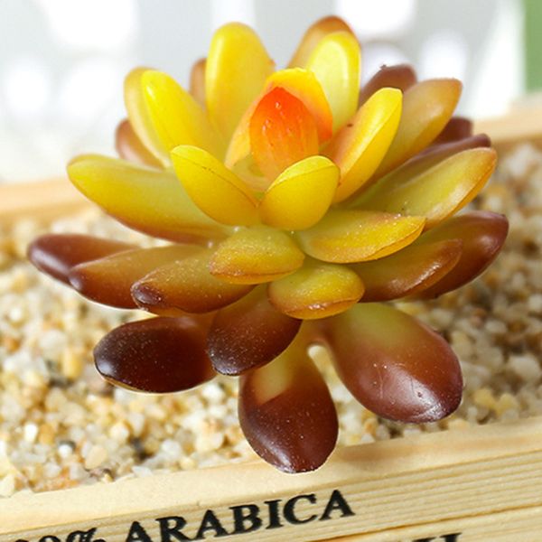 artificial bonsai simulation succulent plant flower leaves gardon outdoor living room home office desk decor
artificial bonsai simulation succulent plant flower leaves gardon outdoor living room home office desk decor