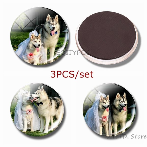 siberian husky fridge magnet couple dog refrigerator magnets 3pcs/set glass cabochon cute wolf dog decoration sticker home decor
siberian husky fridge magnet couple dog refrigerator magnets 3pcs/set glass cabochon cute wolf dog decoration sticker home decor