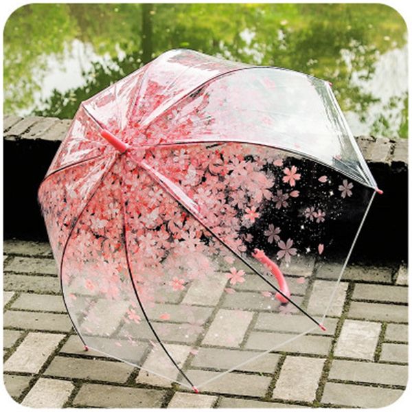 creative transparent cherry blossoms umbrella long handle cartoon clear cute wind resistance umbrellas home sundries girls gift 9yz h1
creative transparent cherry blossoms umbrella long handle cartoon clear cute wind resistance umbrellas home sundries girls gift 9yz h1