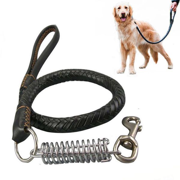 кожа собаки поводок ручной сплетенный 8 прядей pet обучения кожа lead пояс 3ft 4ft long 0,6 wide для среднего большой собак sprin
кожа собаки поводок ручной сплетенный 8 прядей pet обучения кожа lead пояс 3ft 4ft long 0,6 wide для среднего большой собак sprin
