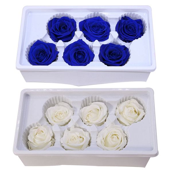 promotion 12 pcs eternal roses heads,real natural fresh preserved rose,forever rose,immortal flower material , 6 pcs white & 6
promotion 12 pcs eternal roses heads,real natural fresh preserved rose,forever rose,immortal flower material , 6 pcs white & 6
