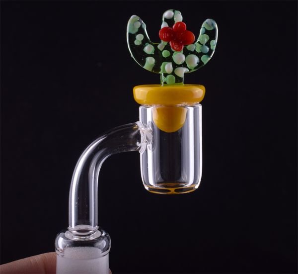 Female Male 10 14 18 mm Quartz Nail 4mm Thick 45 90 Degrees Quartz Banger Nail With Cactus Carb Cap Glass Bong Nail
Female Male 10 14 18 mm Quartz Nail 4mm Thick 45 90 Degrees Quartz Banger Nail With Cactus Carb Cap Glass Bong Nail