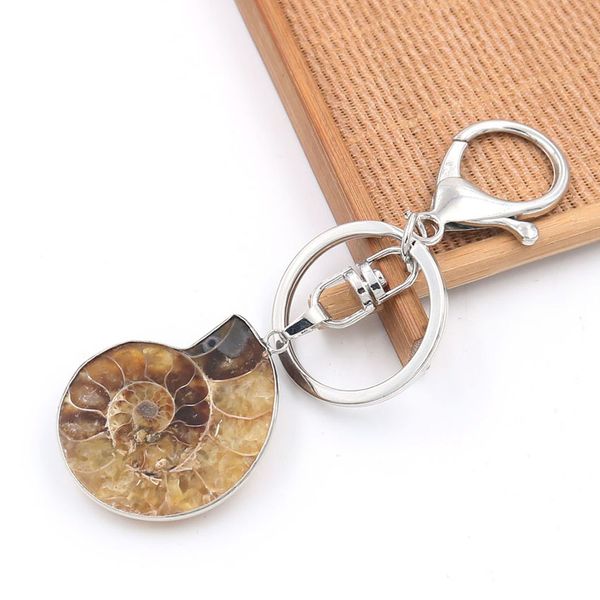 10 pcs popular silverl plated irregular shape ammonite reliquiae key chain for party gift fashion jewelr, Slivery;golden
10 pcs popular silverl plated irregular shape ammonite reliquiae key chain for party gift fashion jewelr, Slivery;golden