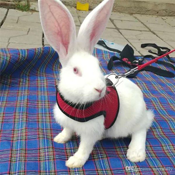 pet rabbit walking harness leash lead,puppies rabbits hamster leash vest traction rope for small animal adjustable soft harness and lead set
pet rabbit walking harness leash lead,puppies rabbits hamster leash vest traction rope for small animal adjustable soft harness and lead set
