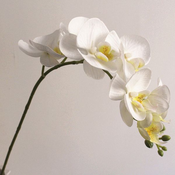 реалистичные фаленопы искусственные цветы поддельные букет поставки 72 см 7 цветов великобритания
реалистичные фаленопы искусственные цветы поддельные букет поставки 72 см 7 цветов великобритания