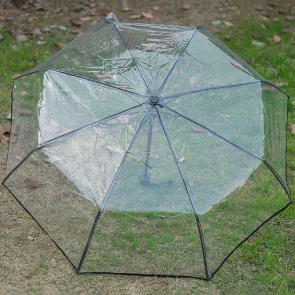 transparent umbrella automatic umbrella rain women men sun rain auto umbrella compact folding windproof style clear umbrella,tra
transparent umbrella automatic umbrella rain women men sun rain auto umbrella compact folding windproof style clear umbrella,tra