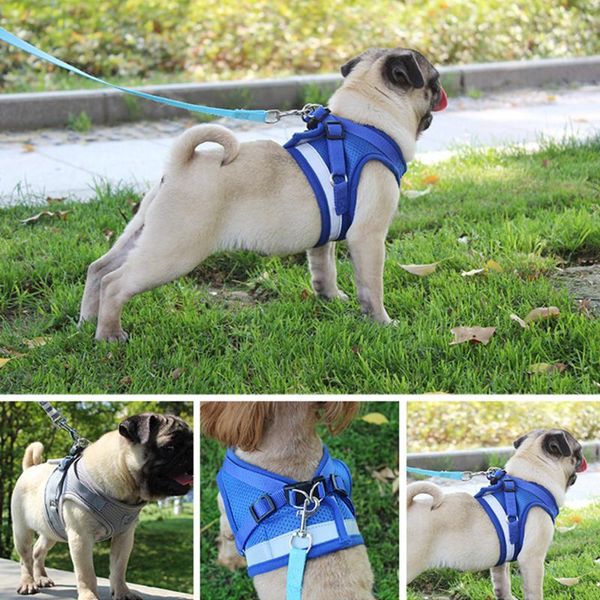 dog collars & leashes reflective safety pet harness and leash set adjustable vest puppy chest strap for small medium dogs cats
dog collars & leashes reflective safety pet harness and leash set adjustable vest puppy chest strap for small medium dogs cats