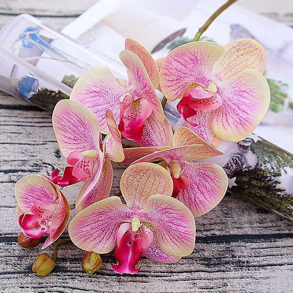 diy 3d simulation phalaenopsis simulation flower fake flower home furnishing plant wall decoration handmade medium pink
diy 3d simulation phalaenopsis simulation flower fake flower home furnishing plant wall decoration handmade medium pink