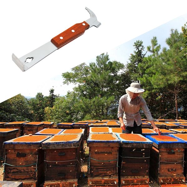 1 пк bee take honey bee инѬђмен инѬђмен cut мед нож пеловодво неободимое ђлей п
1 пк bee take honey bee инѬђмен инѬђмен cut мед нож пеловодво неободимое ђлей п