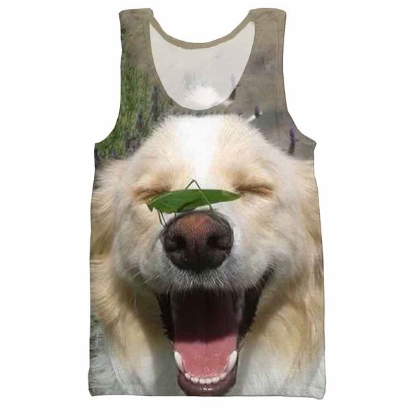 adorable animals 3d printed tank for men fashion cool summer tank work out men women halter, White;black
adorable animals 3d printed tank for men fashion cool summer tank work out men women halter, White;black