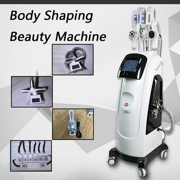 2020 professional cryolipolysis fat ing slimming machine 2 cryo handles cool body sculpting cryolipolysis ultrasound cavitation rf/ce
2020 professional cryolipolysis fat ing slimming machine 2 cryo handles cool body sculpting cryolipolysis ultrasound cavitation rf/ce