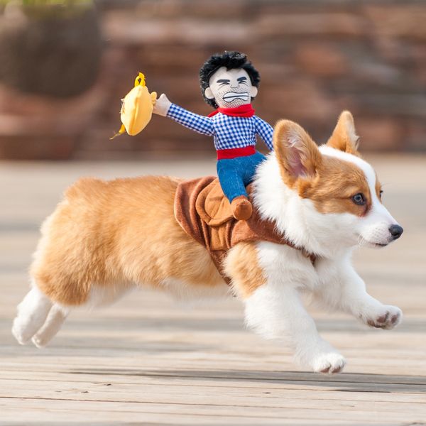 dog costume pet decoration cosplay clothes decoration cats dogs clothes doll dress up props for dogs puppy pet supplies
dog costume pet decoration cosplay clothes decoration cats dogs clothes doll dress up props for dogs puppy pet supplies